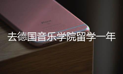 去德国音乐学院留学一年多少钱？