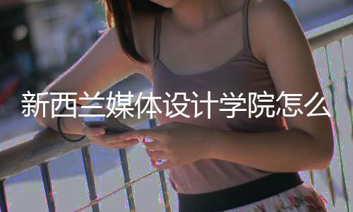 新西兰媒体设计学院怎么样？