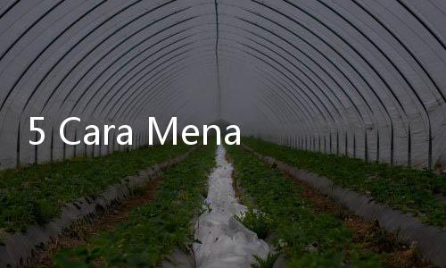 5 Cara Menaikkan Trombosit dengan Cepat dan Alami untuk Pasien DBD