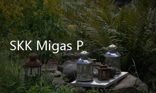 SKK Migas Puji Pertamina Hulu Energi, Eksplorasi Tumbuh 37 Persen Per Tahun